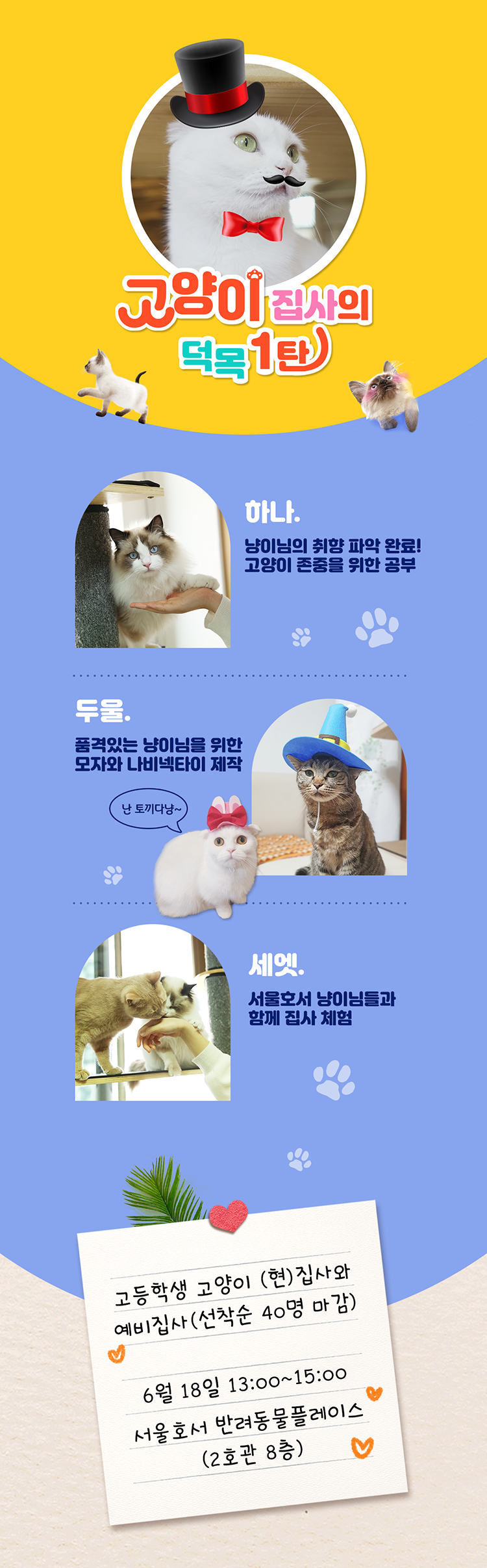 고양이 집사의 덕목 1탄