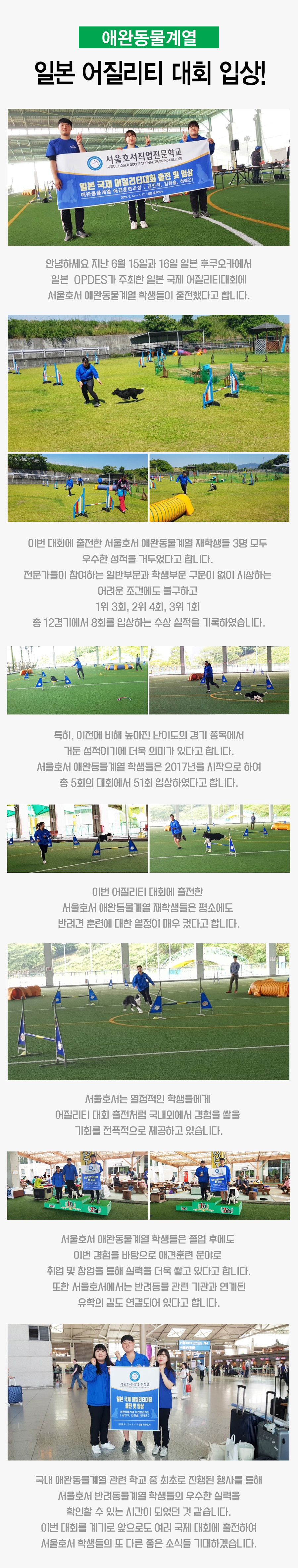 일본 어질리티 대회 입상