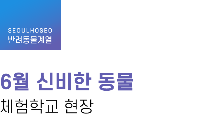 반려동물계열 | 6월 신비한 동물 체험학교 현장