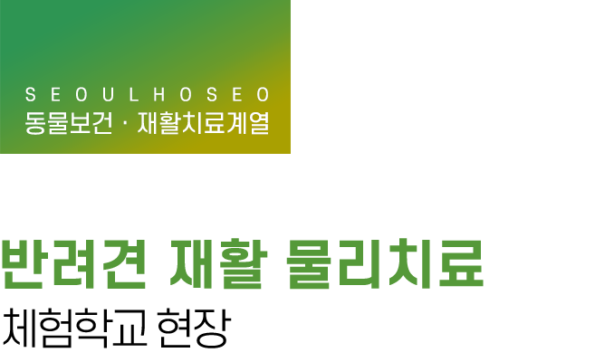 동물보건 · 재활치료계열 | 반려견 재활 물리치료 체험학교 현장