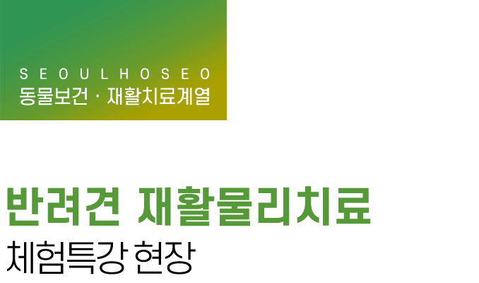 동물보건·재활물리치료계열 | 반려견 재활물리치료 체험특강 현장