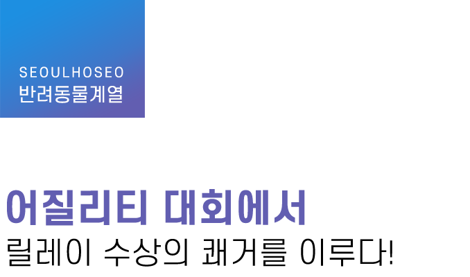 반려동물계열 | 어질리티 대회에서 릴레이 수상의 쾌거를 이루다!