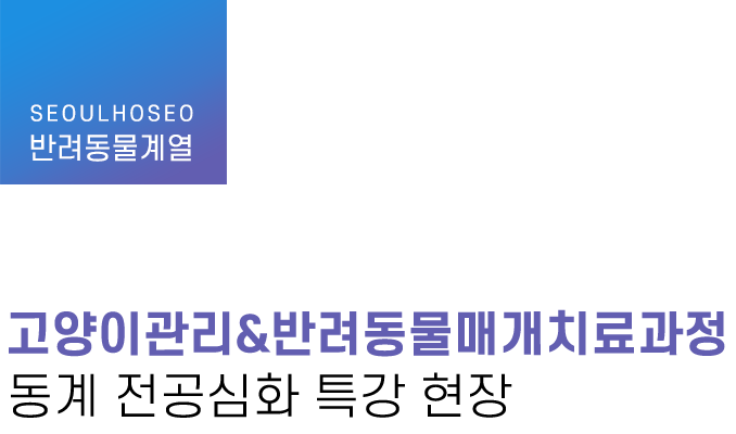 반려동물계열 | 고양이관리&반려동물매개치료과정 동계 전공심화 특강 현장