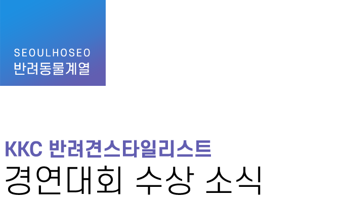반려동물계열 | KKC 반려견스타일리스트 경연대회 수상 소식