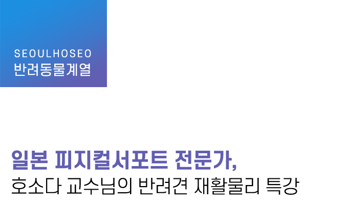 일본 피지컬서포트 전문가, 호소다 교수님의 반려견 재활물리 특강