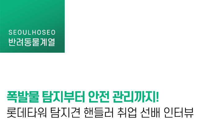 폭발물 탐지부터 안전 관리까지! 롯데타워 탐지견 핸들러 취업 선배 인터뷰