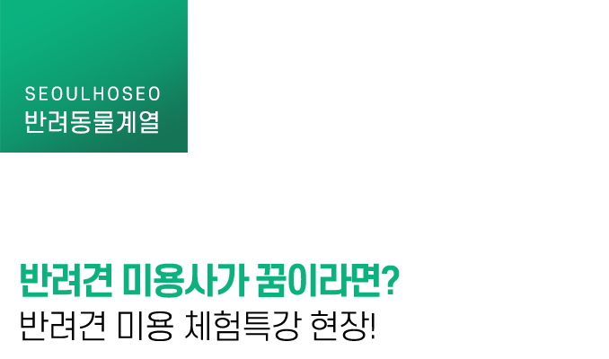 반려견 미용사가 꿈이라면? 반려견 미용 체험특강 현장!