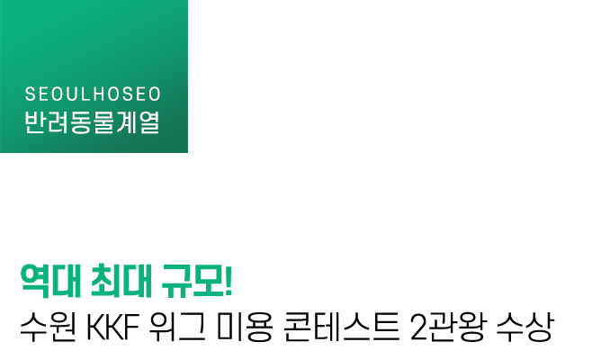 역대 최대 규모! 수원 KKF 위그 미용 콘테스트 2관왕 수상