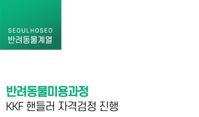 반려동물미용과정 KKF 핸들러 자격검정 진행