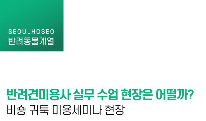 반려견미용사 실무 수업 현장은 어떨까? 비숑 귀툭 미용세미나 현장