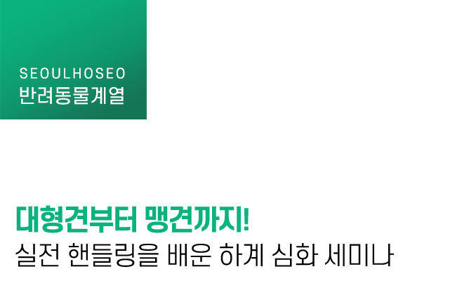 대형견부터 맹견까지! 실전 핸들링을 배운 하계 심화 세미나