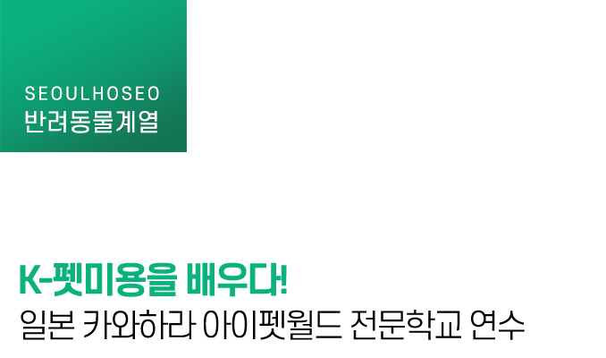 K-펫미용을 배우다! 일본 카와하라 아이펫월드 전문학교 연수