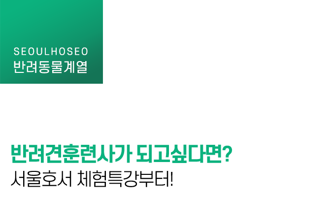 반려견훈련사가 되고싶다면? 서울호서 체험특강부터!