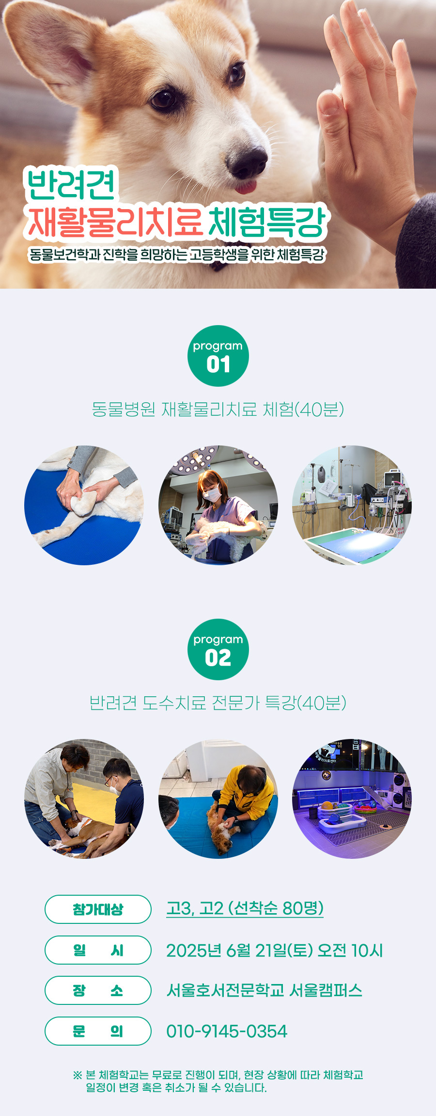 반려견 재활물리치료 특강