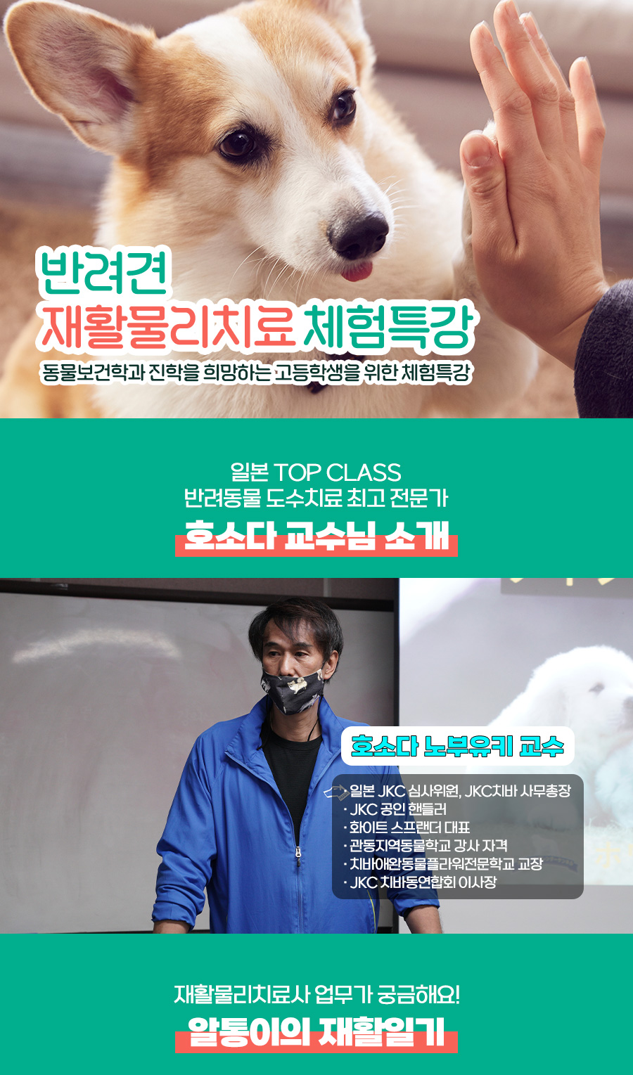 반려견재활물리 체험특강