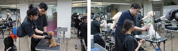 '교수 1인 + 보조강사 2인' 개인 수준별 맞춤 관리