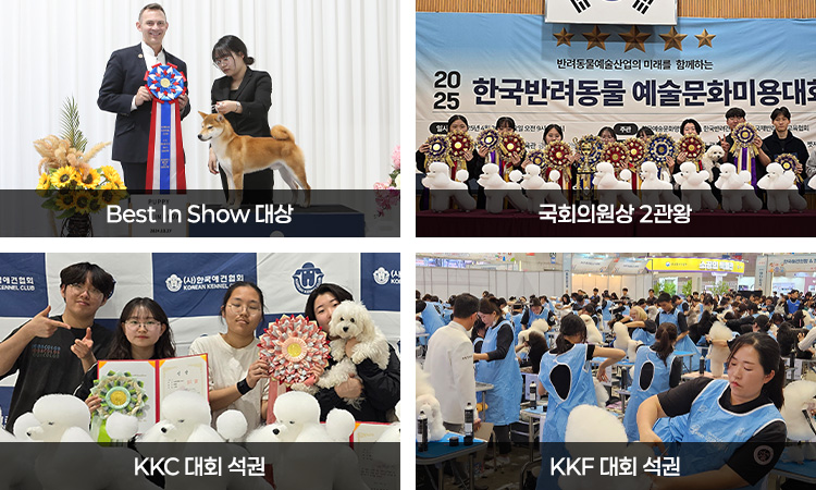 각종 반려견 미용대회 석권
