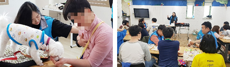 최고의 임상경험을 갖춘 전문가들의 맞춤형 멘토링 커리큘럼